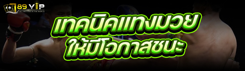 เทคนิคแทงมวย ให้มีโอกาสชนะ