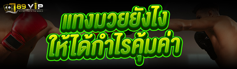แทงมวย ยังไงให้ได้กำไรคุ้มค่า